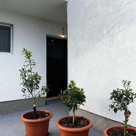 Apartman Hana Brtonigla